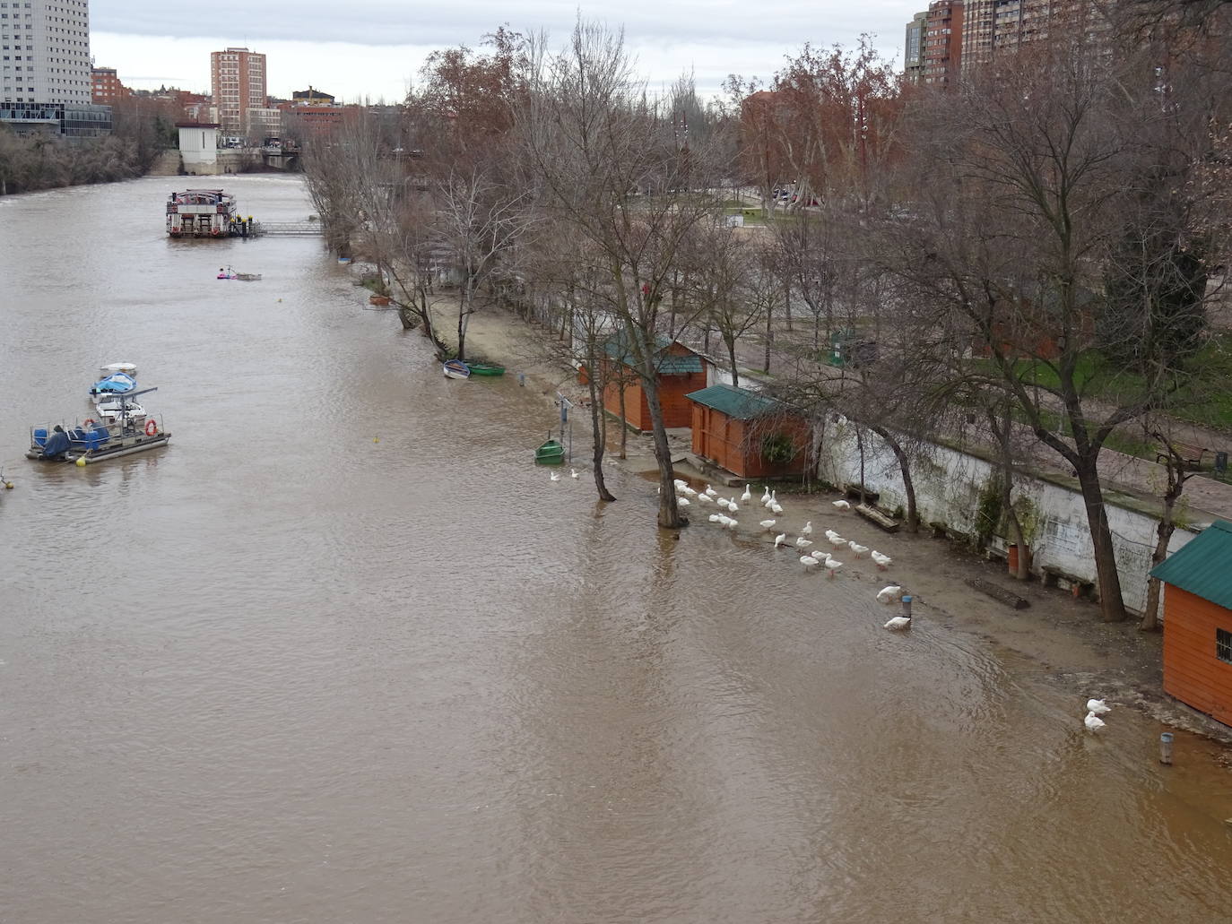 El río Pisuerga a su paso por Valladolid.