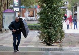 Viento en el Paseo Zorrilla durante un temporal anterior.