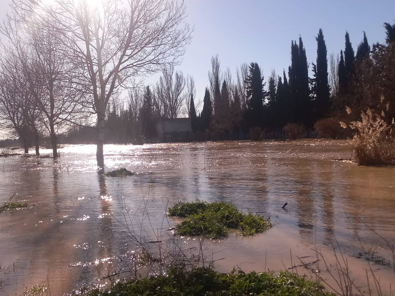 Crecida del río Zapardiel en Medina del Campo