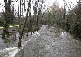El río Eresma, a su paso por Segovia tras el aumento del caudal por el deshielo.