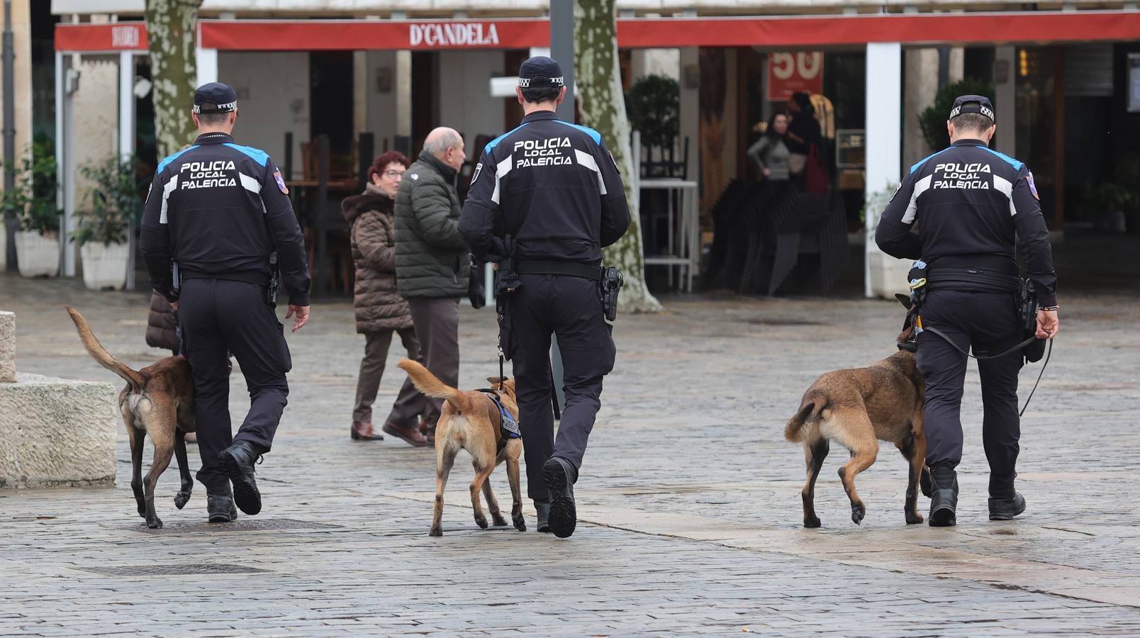 Palencia estrena la Unidad Canina con tres perros policía