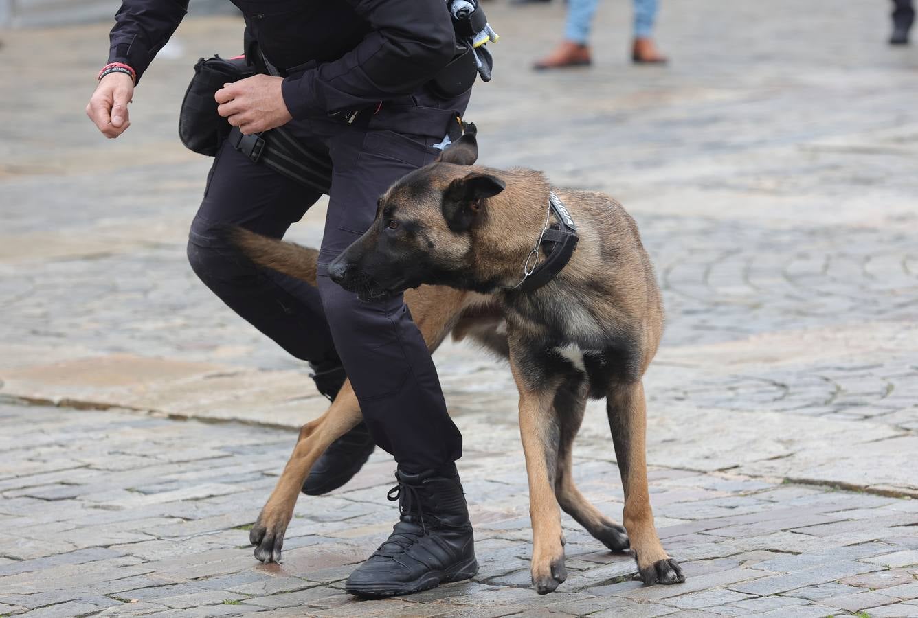 Palencia estrena la Unidad Canina con tres perros policía