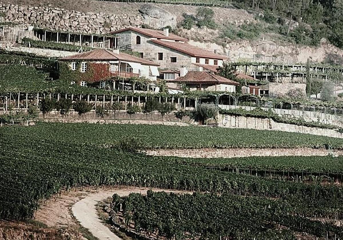 La finca gallega A Vilerma, dentro de la DO Ribeiro.