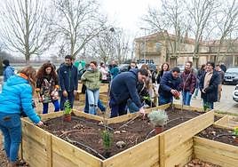 Plantación en el jardín terapéutico inaugurado en el campus de La Yutera.