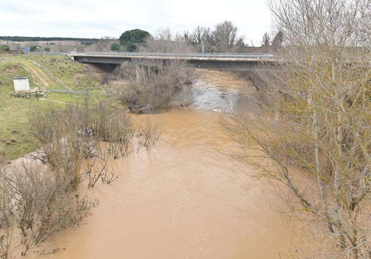 Crecida del Duero a su paso por Herrera de Duero el pasado lunes.