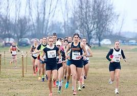 Imagen del Cross Ciudad de Valladolid.