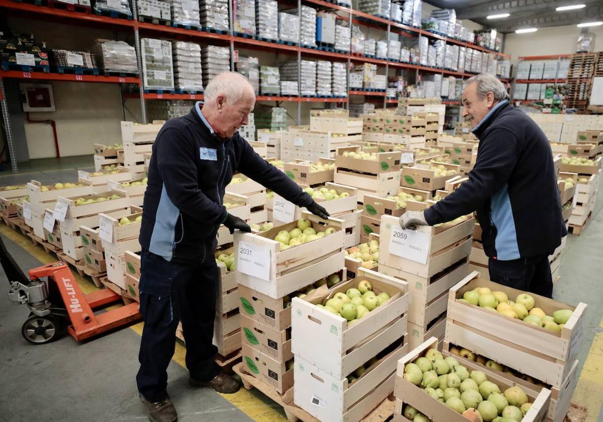 Voluntarios en el Banco de Alimentos de Valladolid.