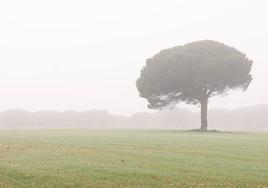 Valladolid y su provincia, envuelta en niebla