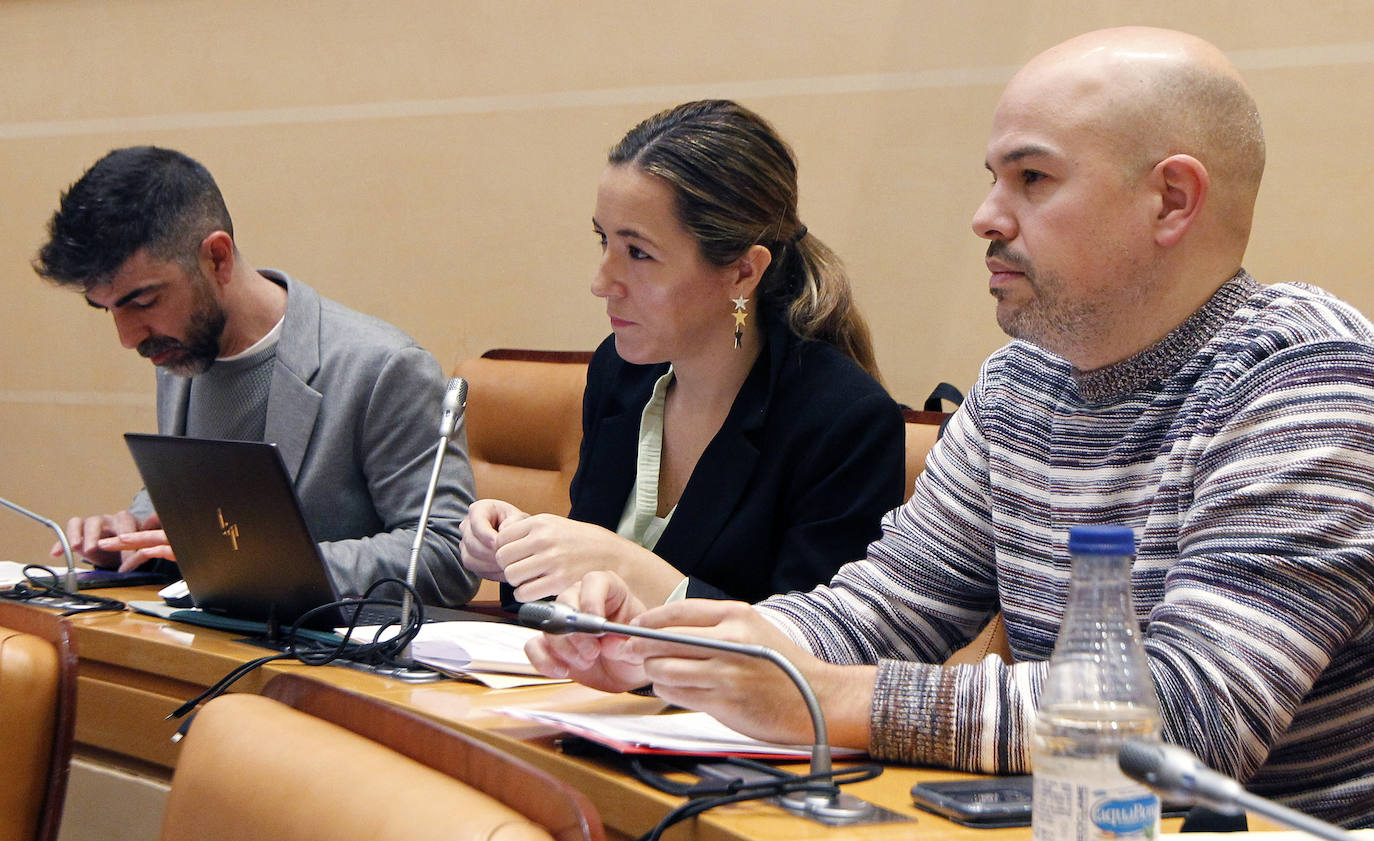 Pleno de enero del Ayuntamiento de Segovia