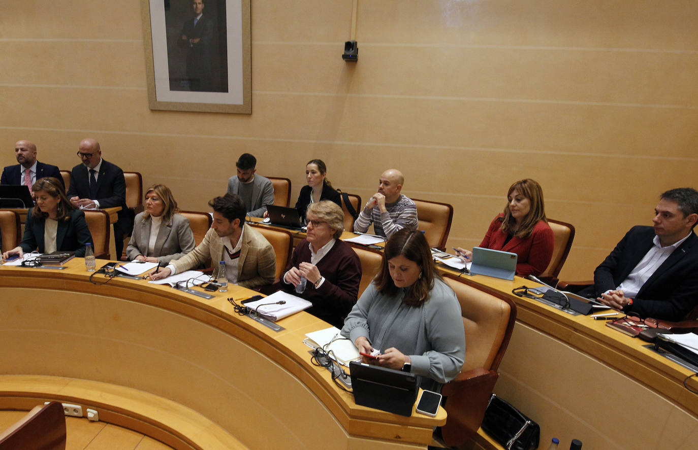 Pleno de enero del Ayuntamiento de Segovia