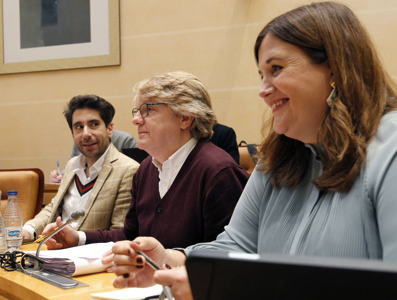 Pleno de enero del Ayuntamiento de Segovia