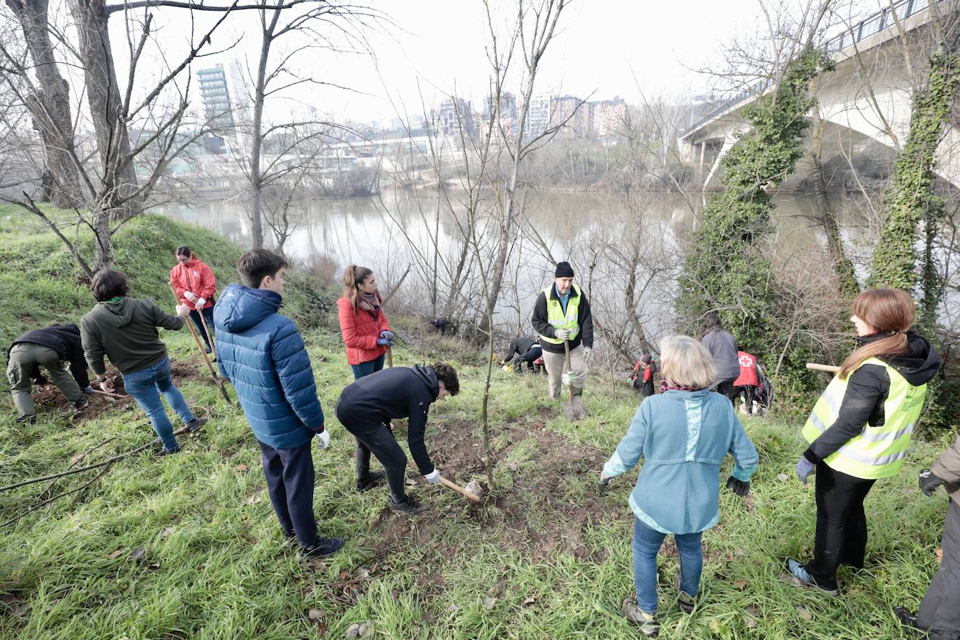 Las imágenes de la reforestación en la ribera del Pisuerga