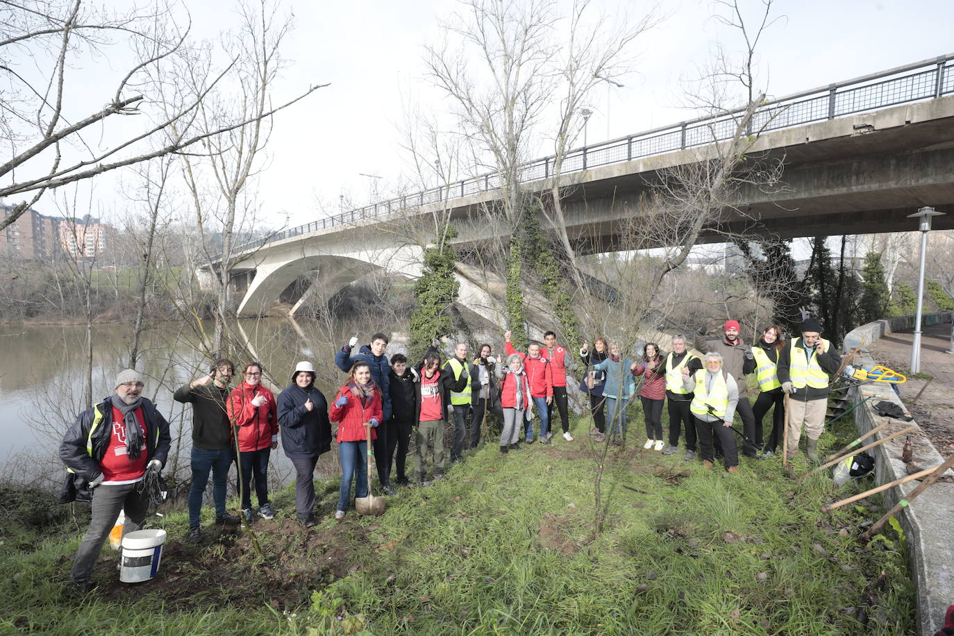 Las imágenes de la reforestación en la ribera del Pisuerga