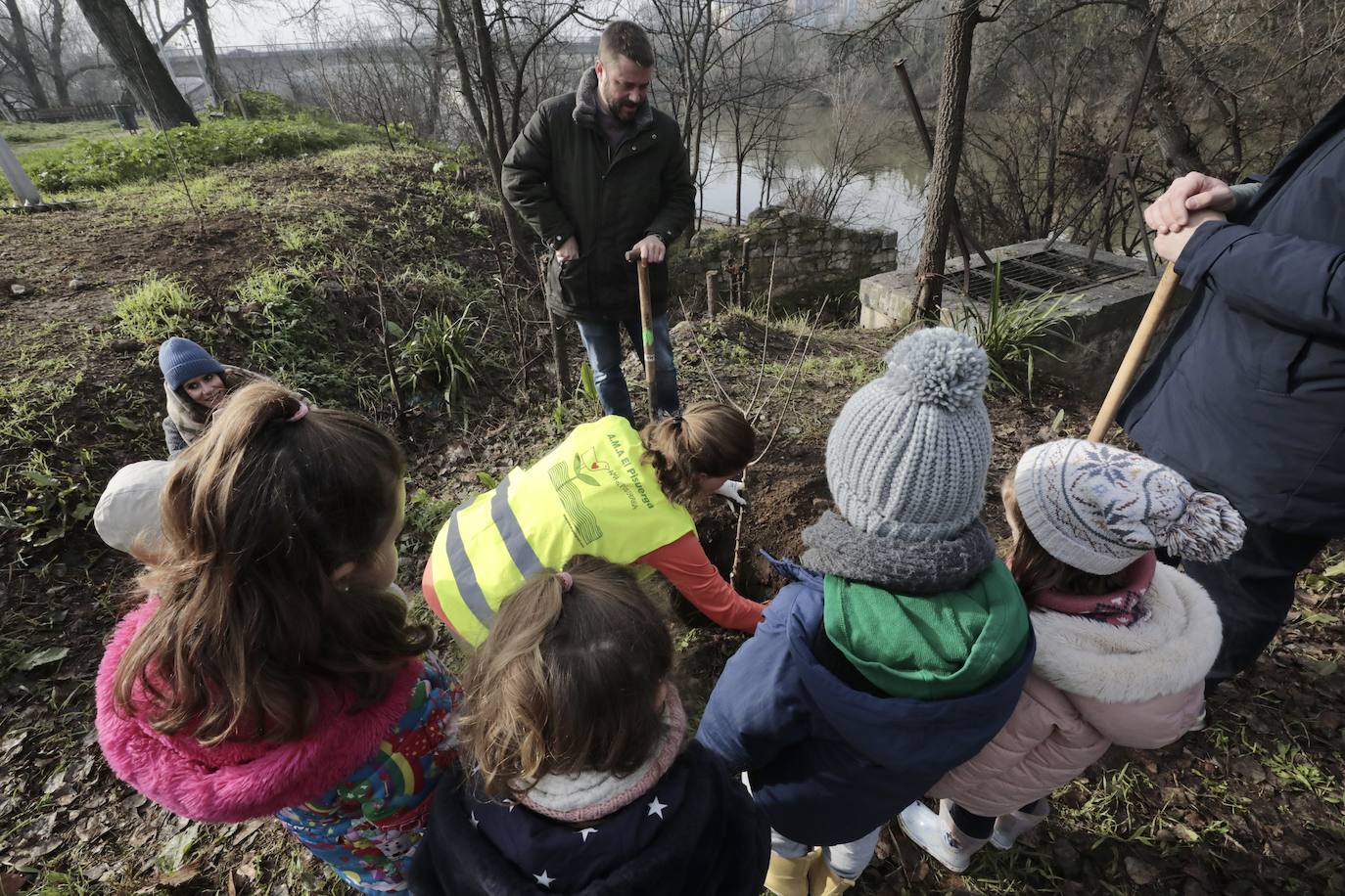 Las imágenes de la reforestación en la ribera del Pisuerga