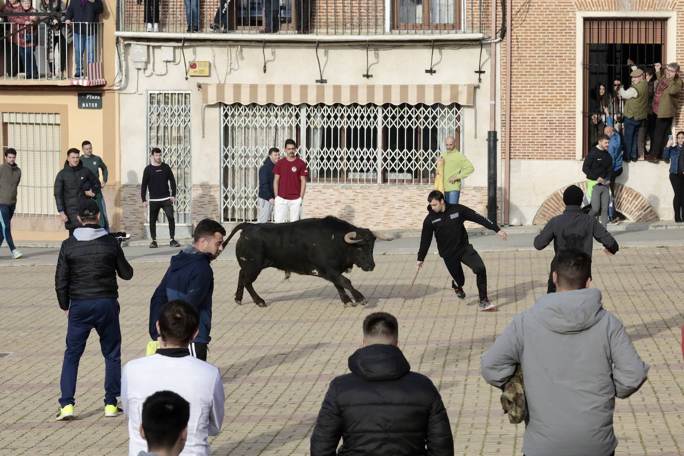 Encierro del toro del Arrope en Siete Iglesias de Trabancos