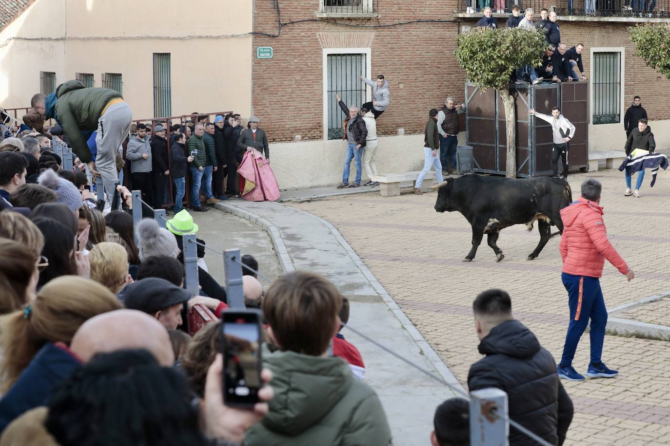 Encierro del toro del Arrope en Siete Iglesias de Trabancos