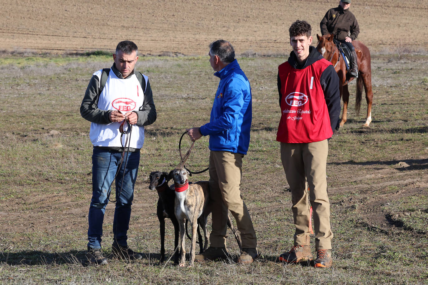 Tercera jornada de los cuartos de final del Campeonato Nacional de Galgos