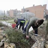 Brotes verdes por y para la integración en Parquesol