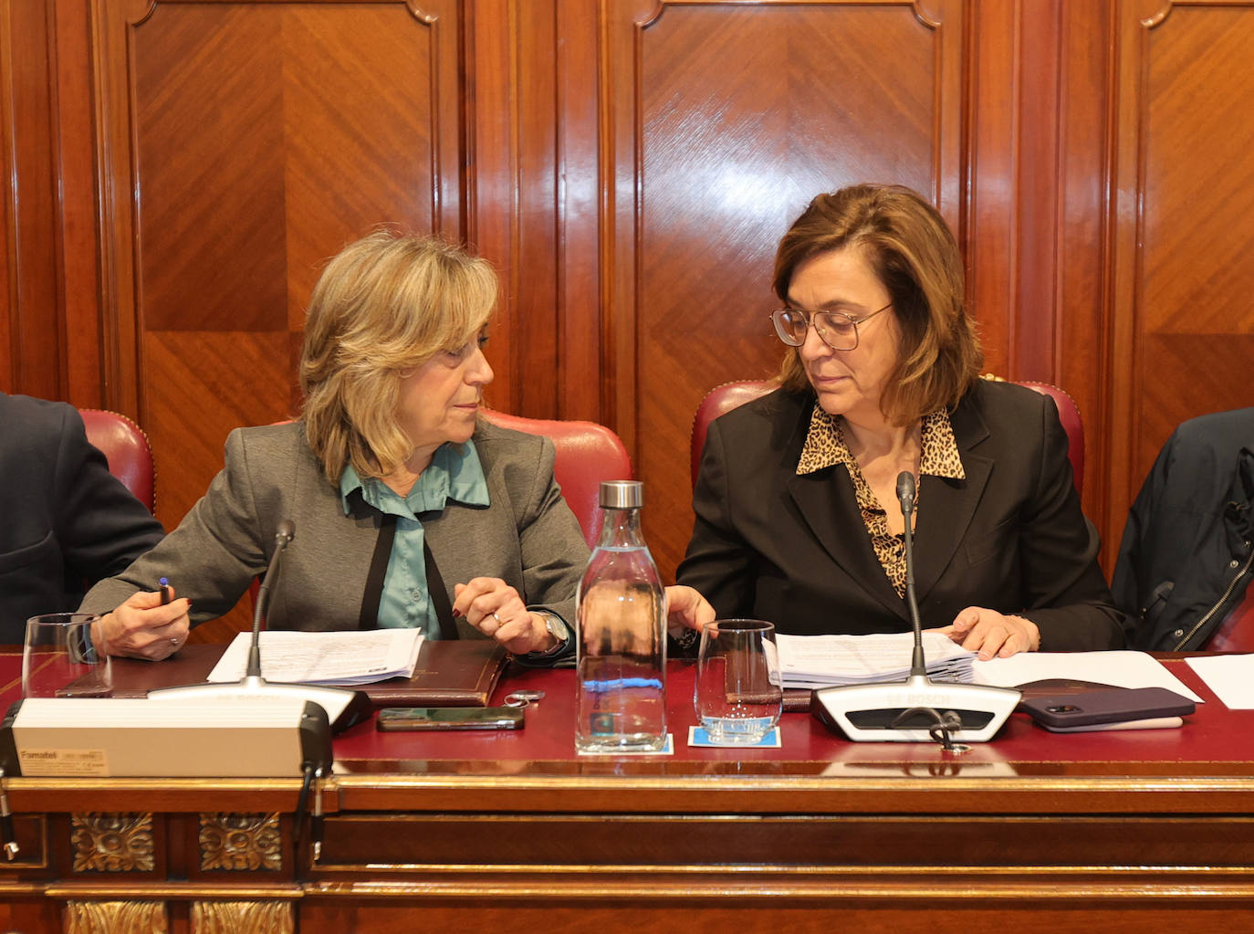 La Diputación de Palencia celebra el primer pleno ordinario del año