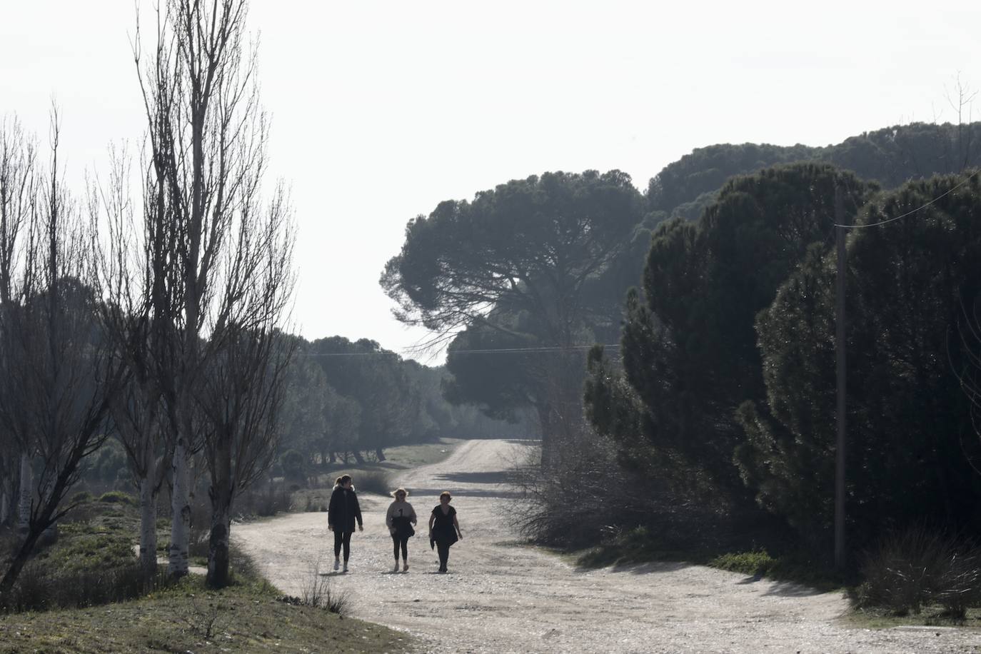 Un paseo, en imágenes, por la Cañada Real