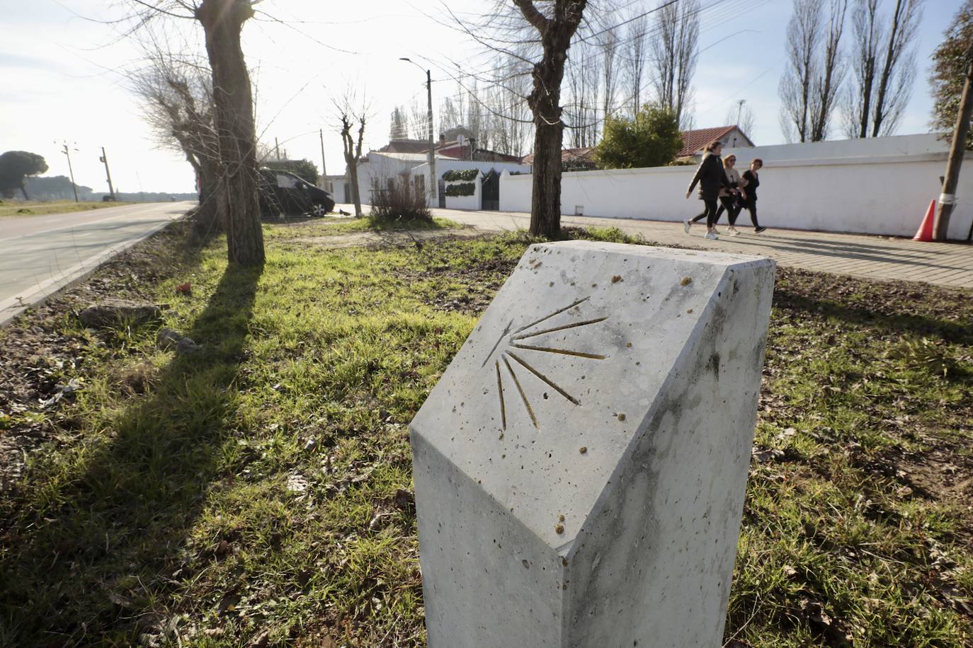 Un paseo, en imágenes, por la Cañada Real