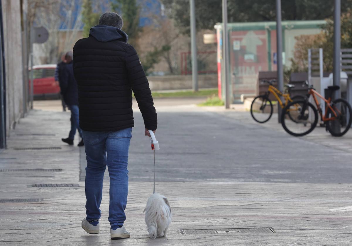 Un hombre pasea un perro por la plaza de Pío XII.