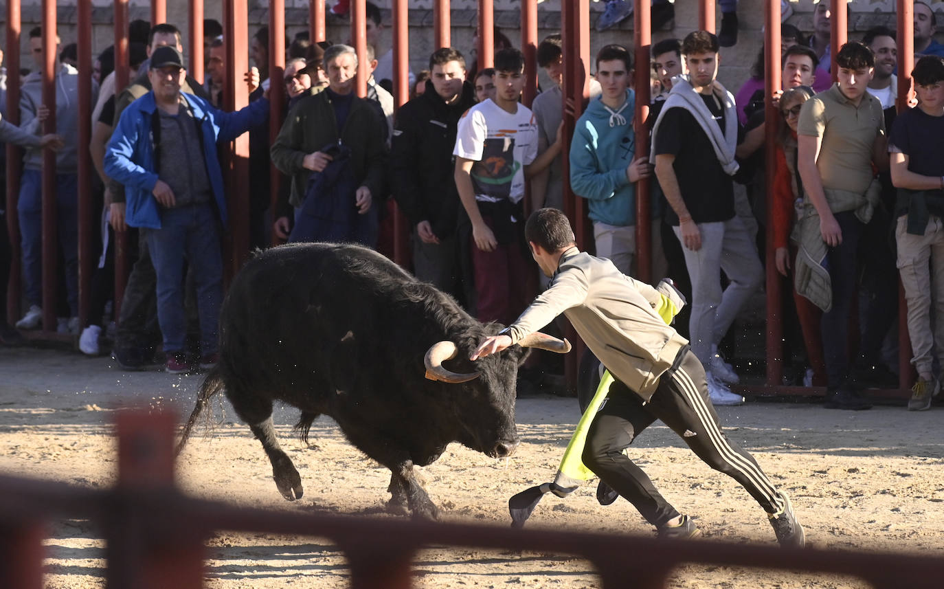 El encierro de Viana de Cega, en imágenes