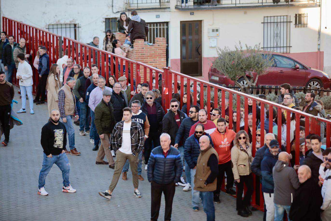 Castronuño celebra el Toro de San Blas