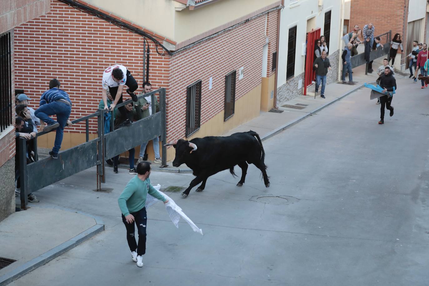 Castronuño celebra el Toro de San Blas