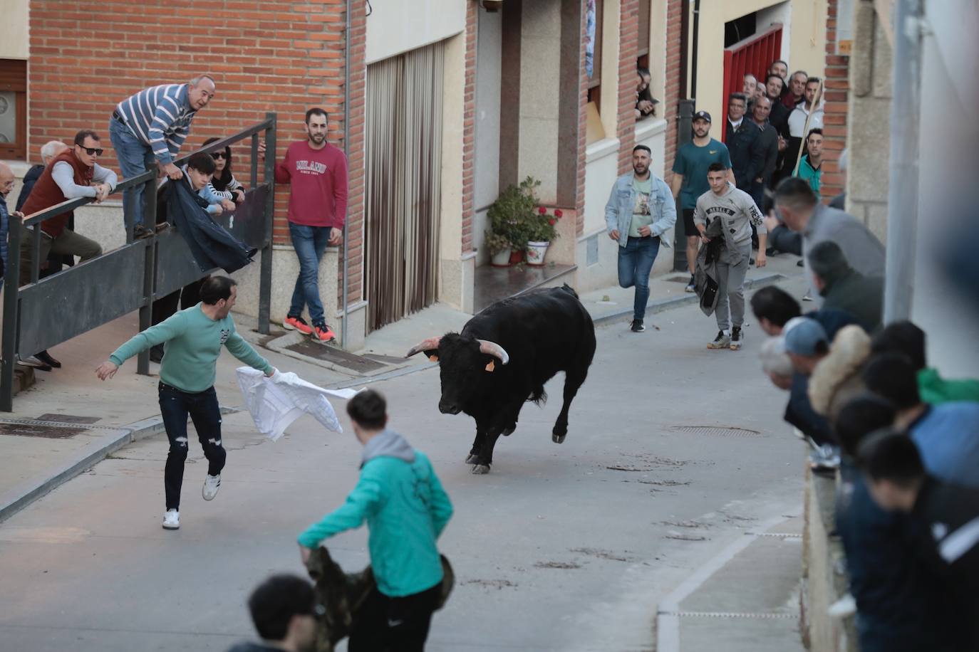 Castronuño celebra el Toro de San Blas