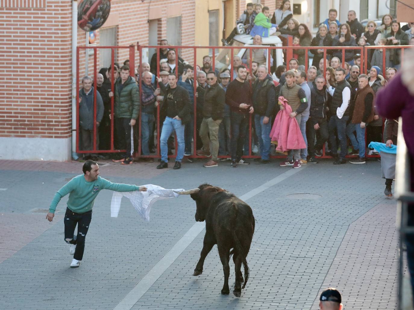 Castronuño celebra el Toro de San Blas