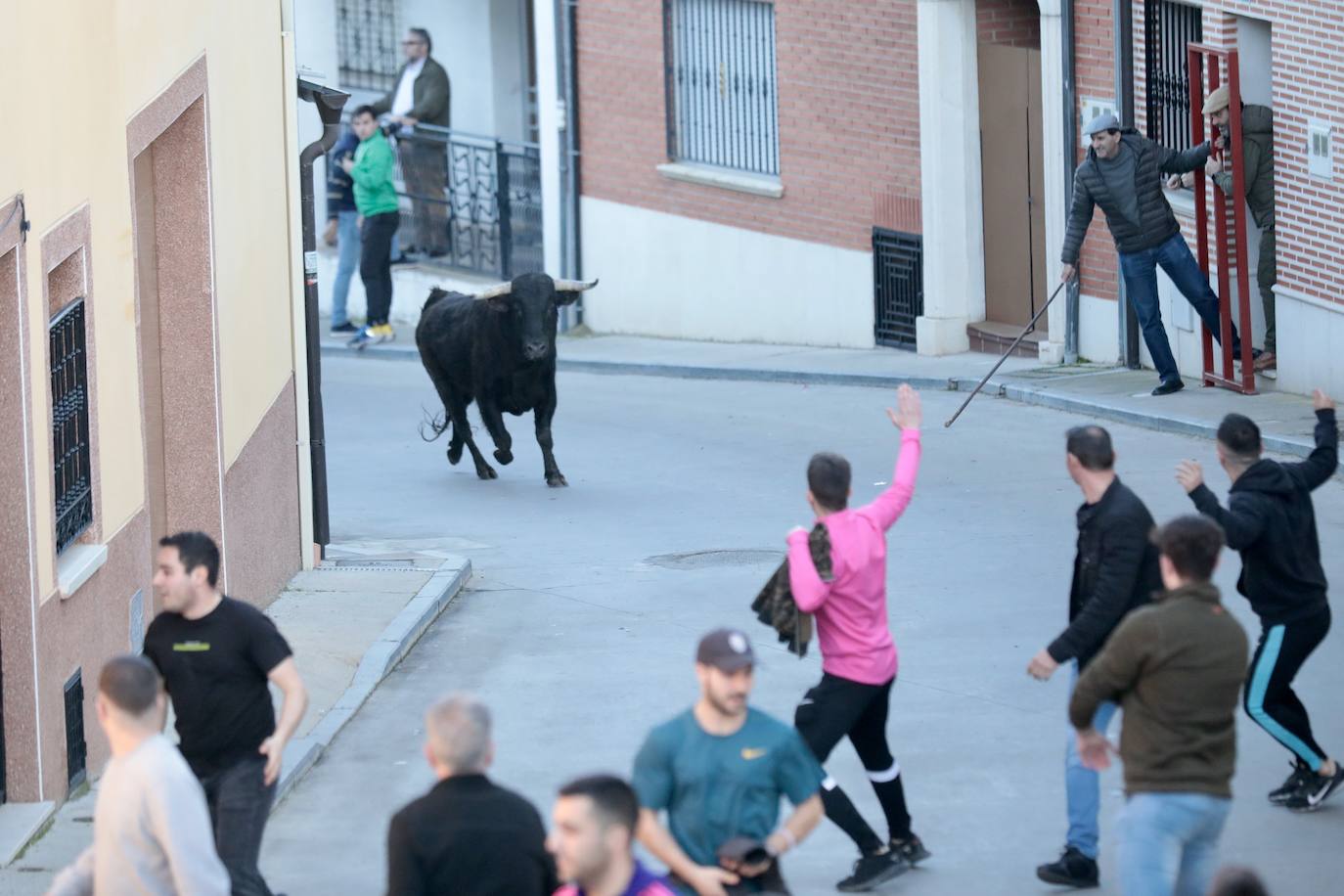 Castronuño celebra el Toro de San Blas