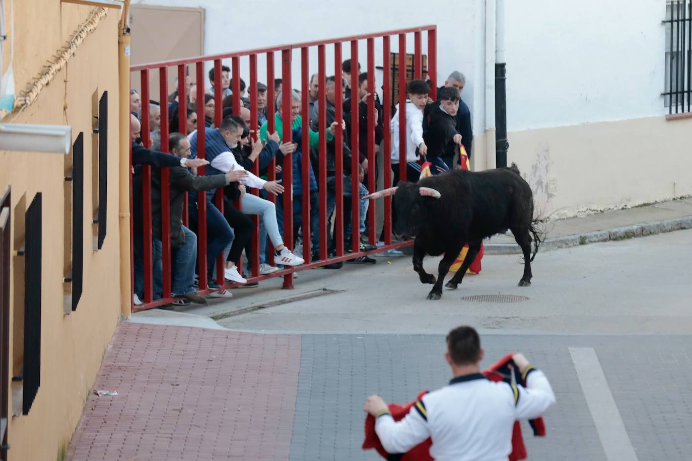 Castronuño celebra el Toro de San Blas