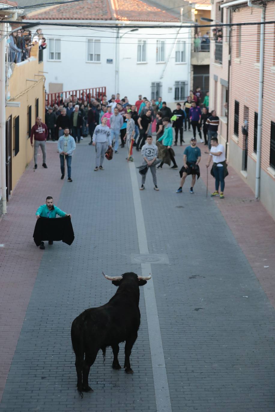 Castronuño celebra el Toro de San Blas