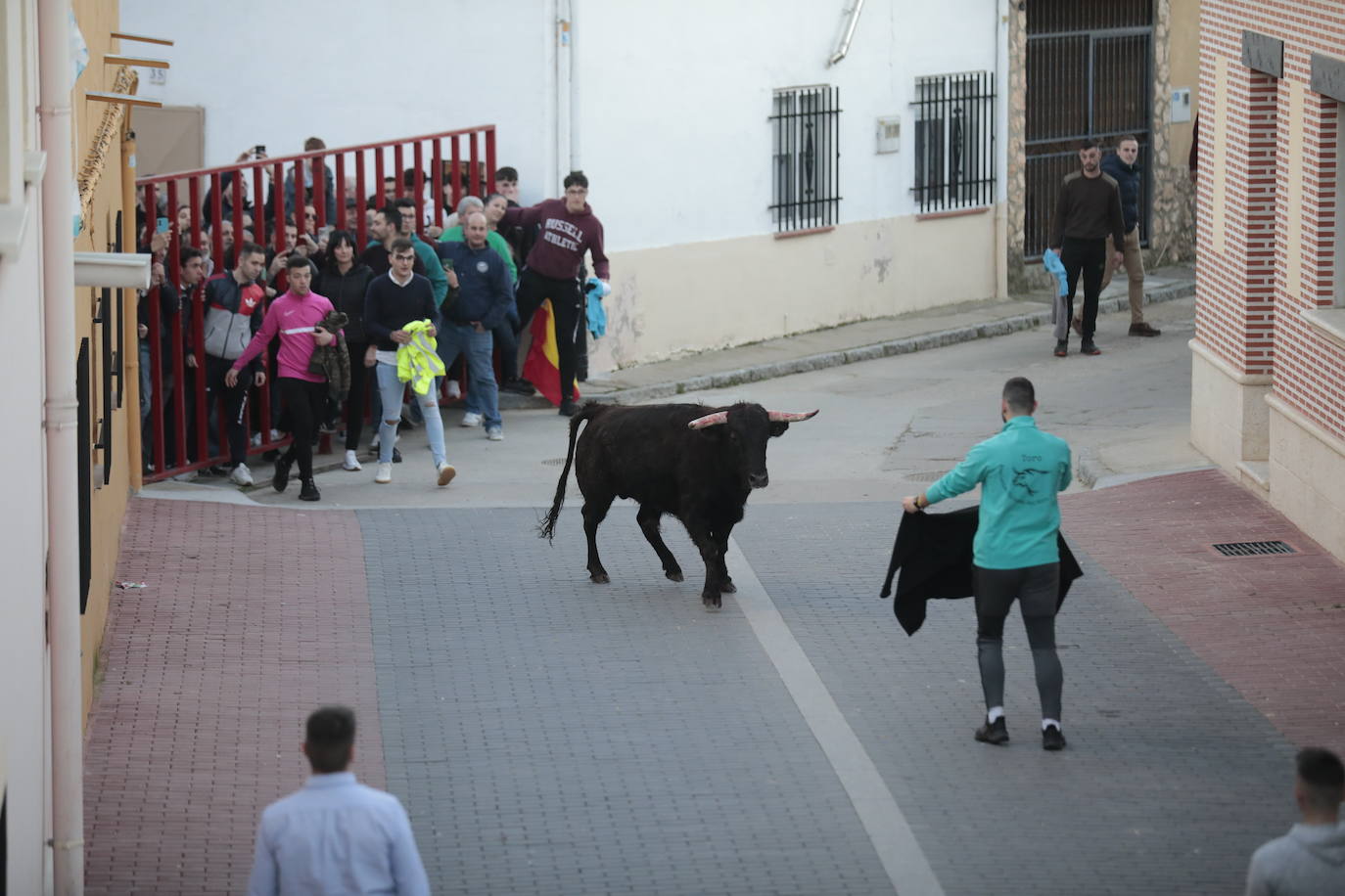 Castronuño celebra el Toro de San Blas