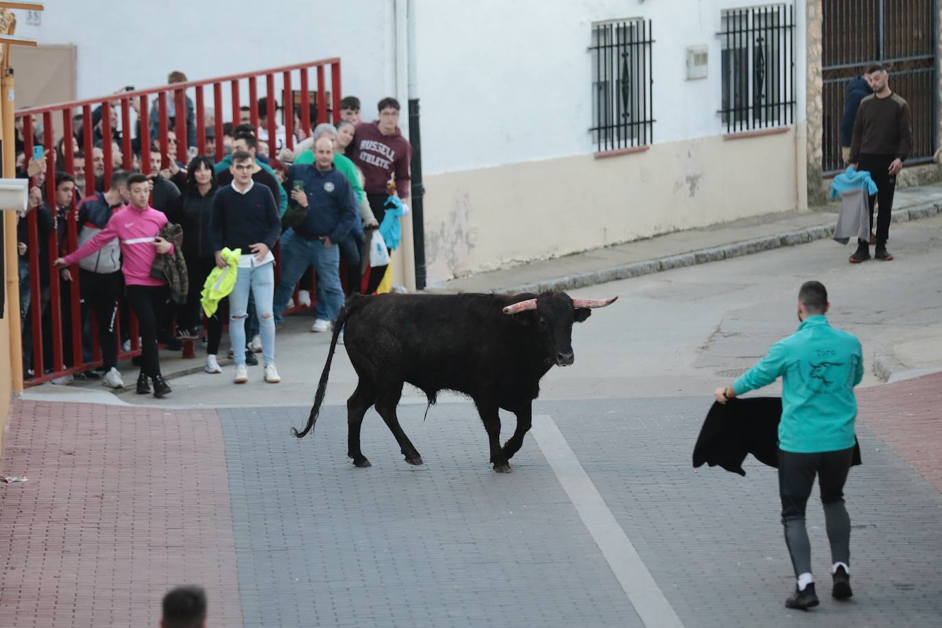 Castronuño celebra el Toro de San Blas