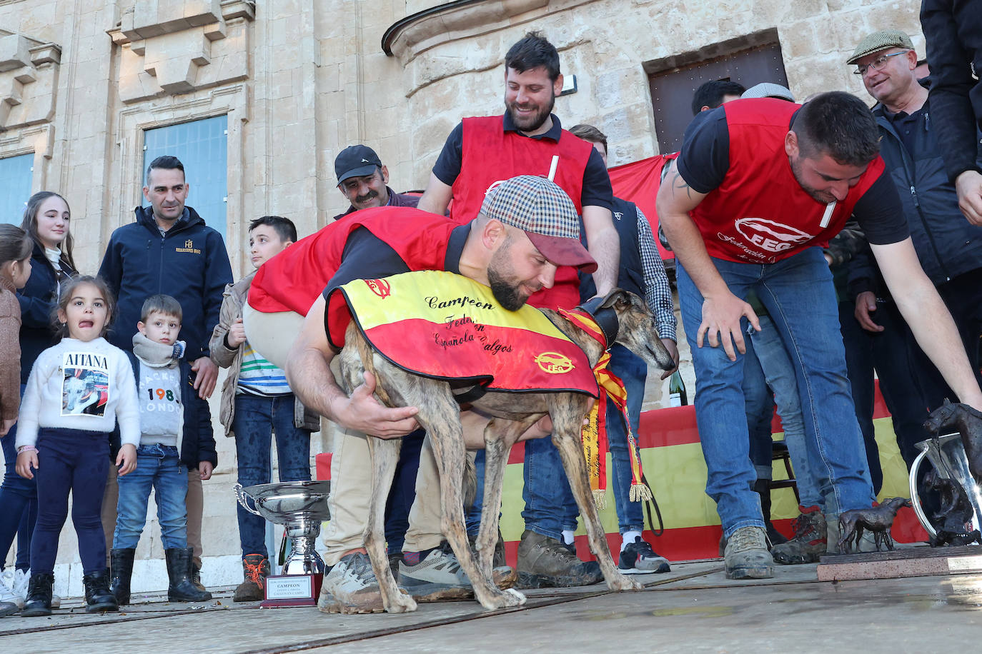 Final del Campeonato de España de Galgos en Nava del Rey