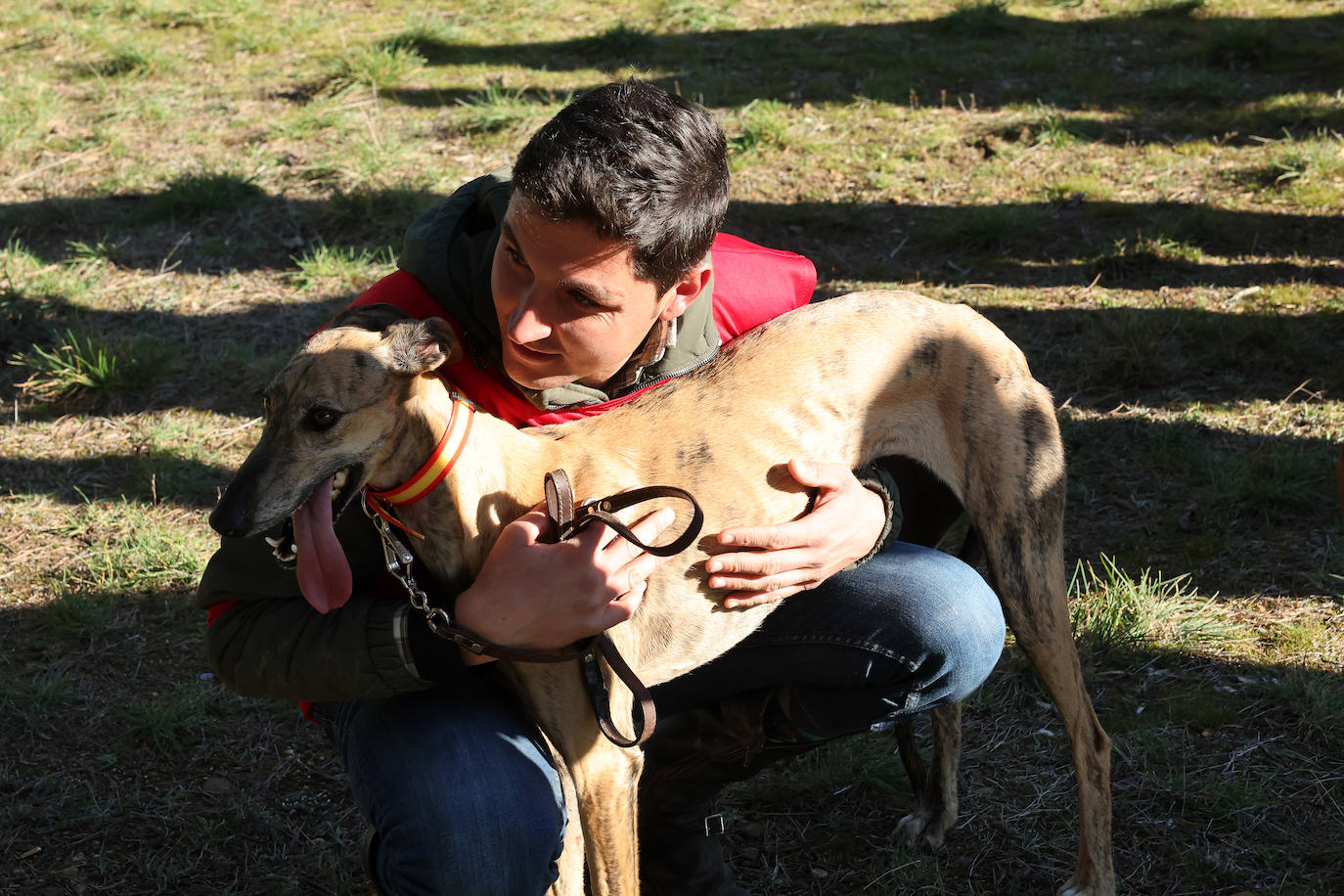 Final del Campeonato de España de Galgos en Nava del Rey