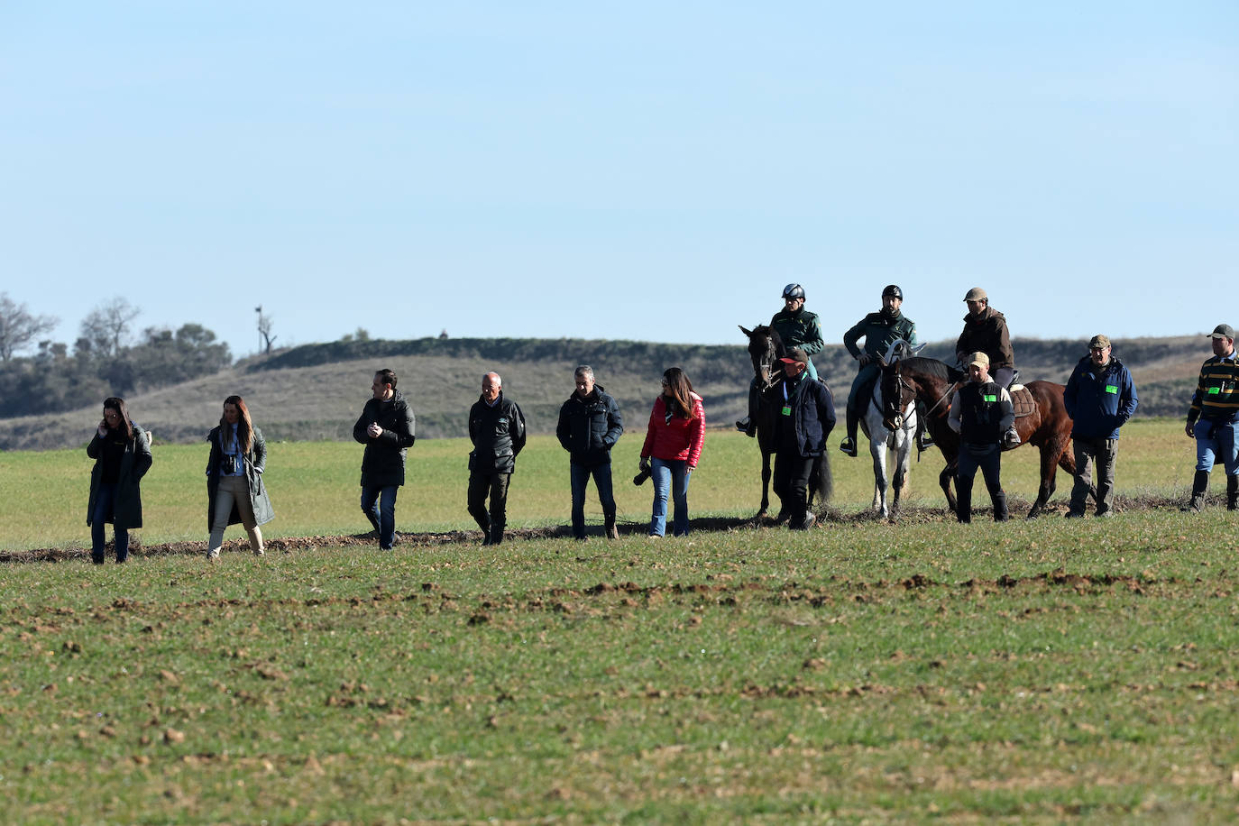 Final del Campeonato de España de Galgos en Nava del Rey