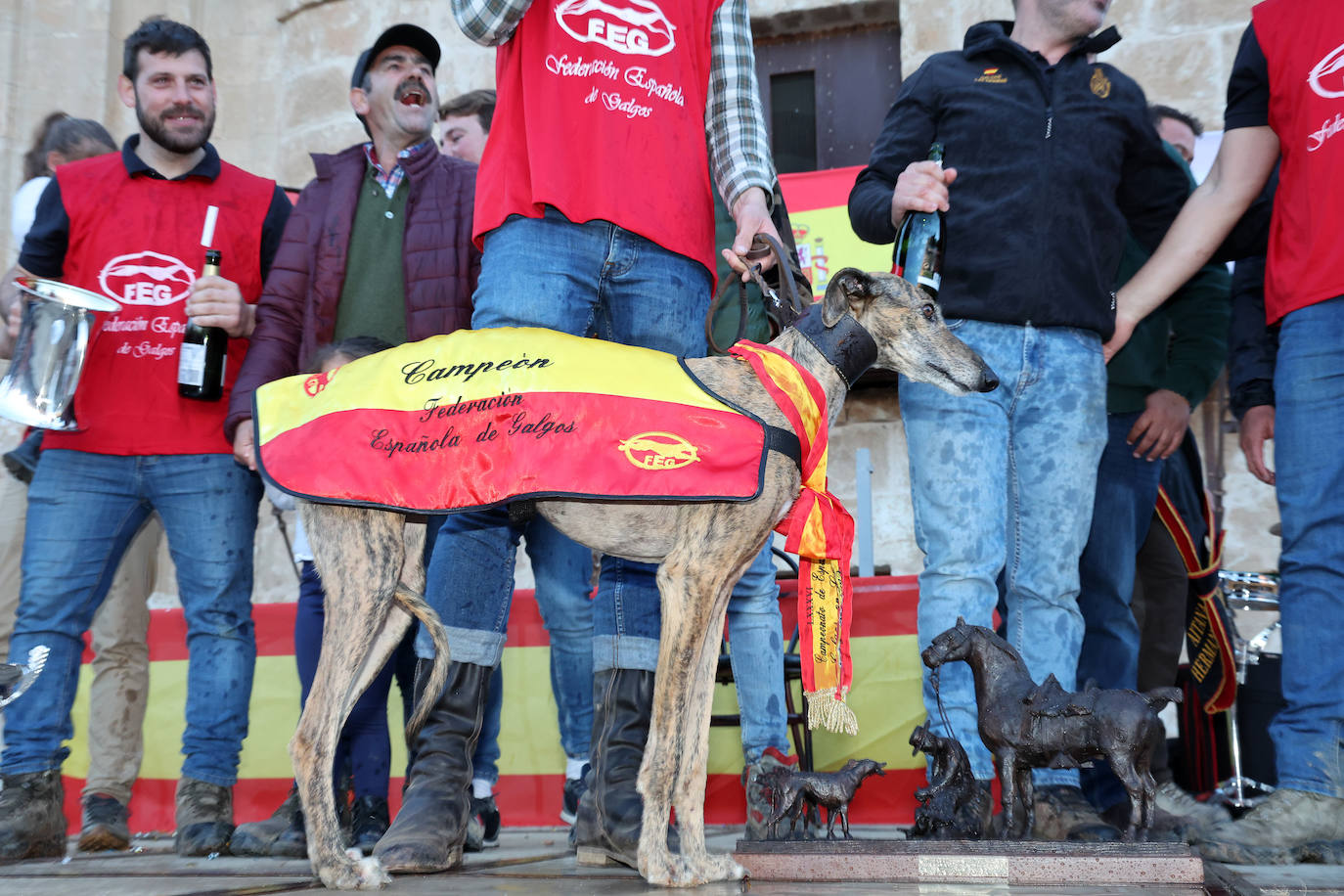 Final del Campeonato de España de Galgos en Nava del Rey