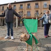 La asociación contra el cáncer suma 400 socios en el último año y roza los cuatro mil