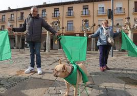 Un perrito luce también la banderola verde contra el cáncer, durante la formación del lazo humano en la Plaza Mayor.