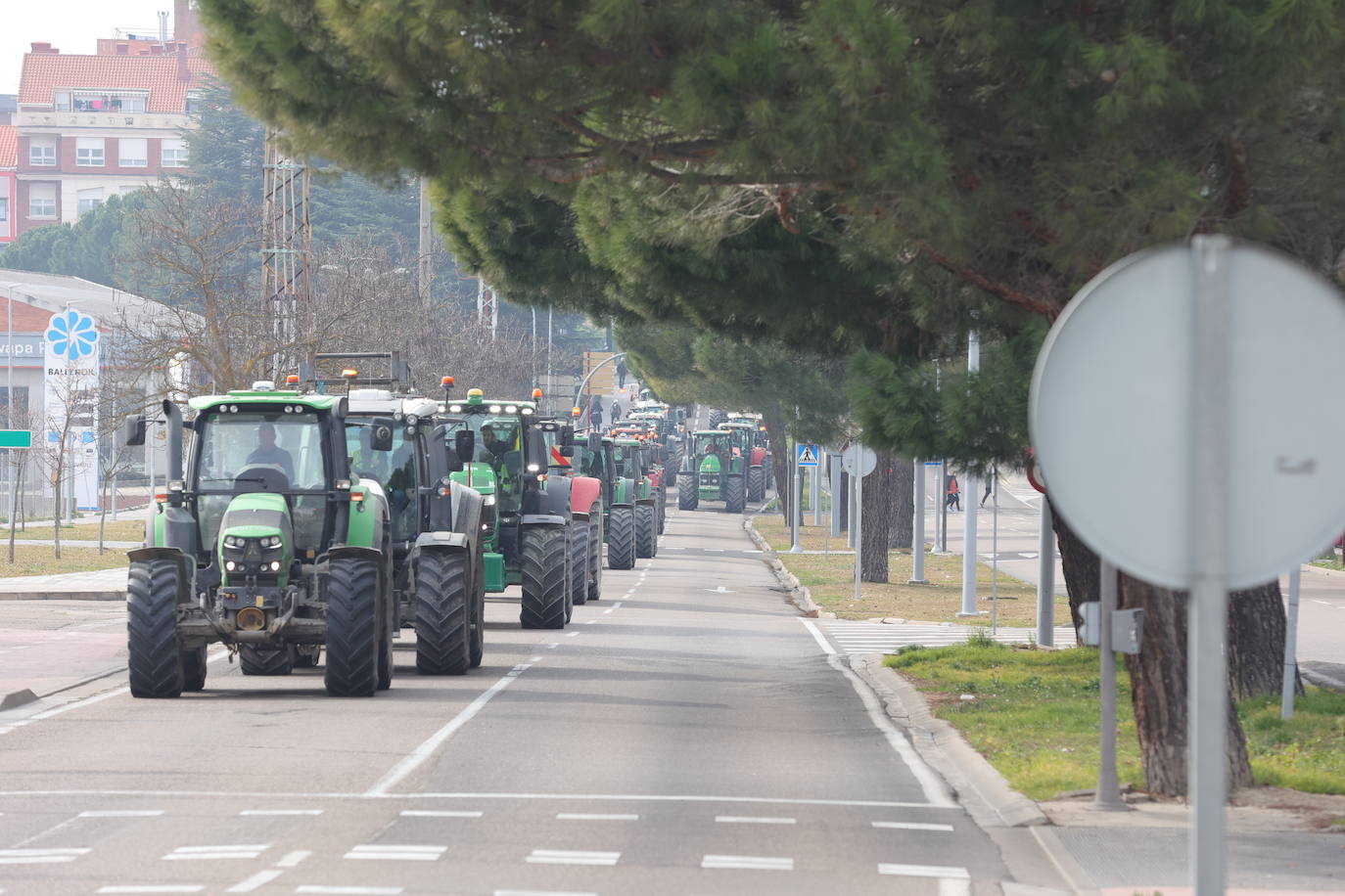 Una cadena de tractores cose la ciudad de Palencia