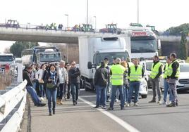 Los turistas chinos por el arcén de la autovía ante la atenta mirada de los agricultores.