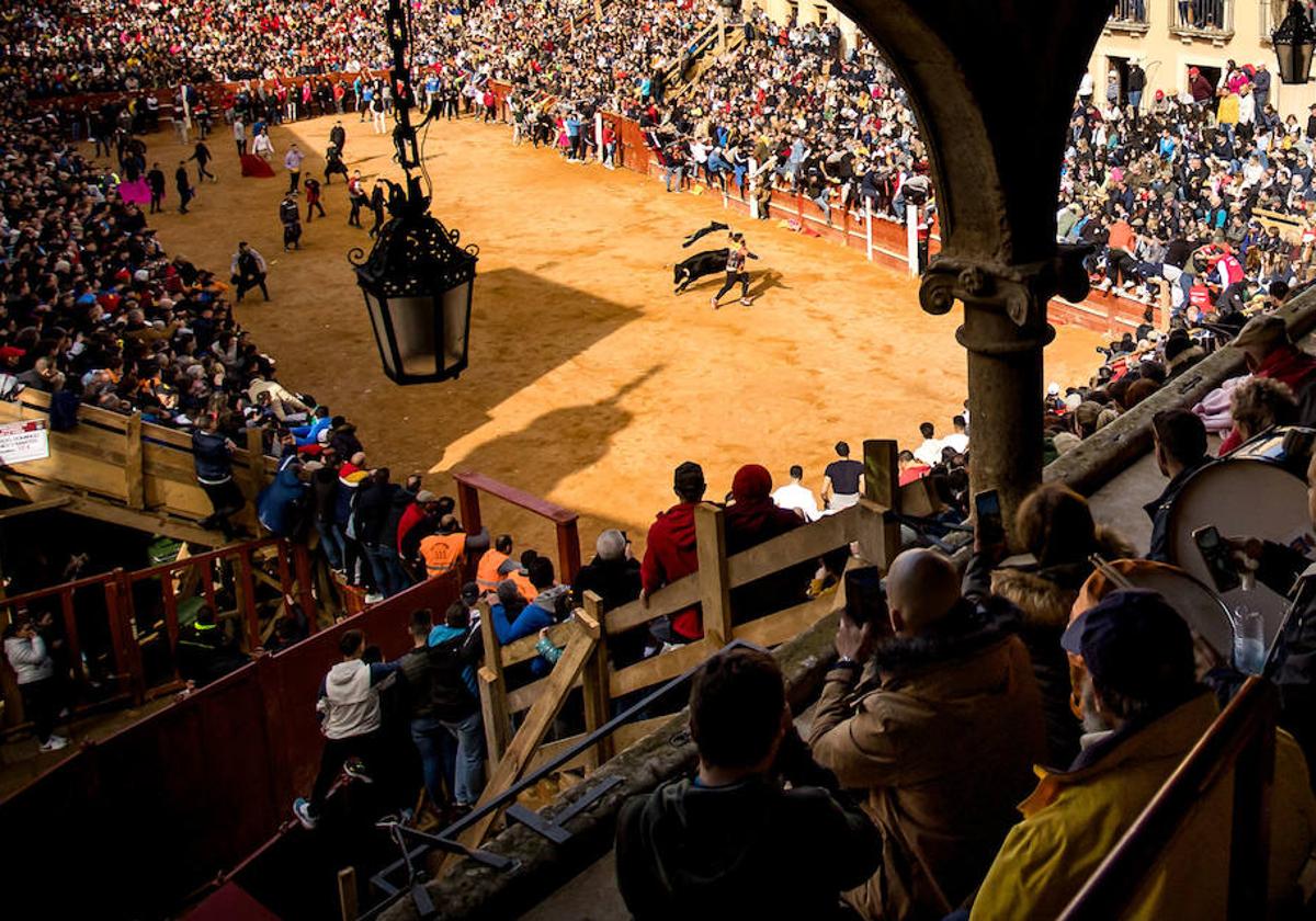 Carnaval del Toro en Ciudad Rodrigo.