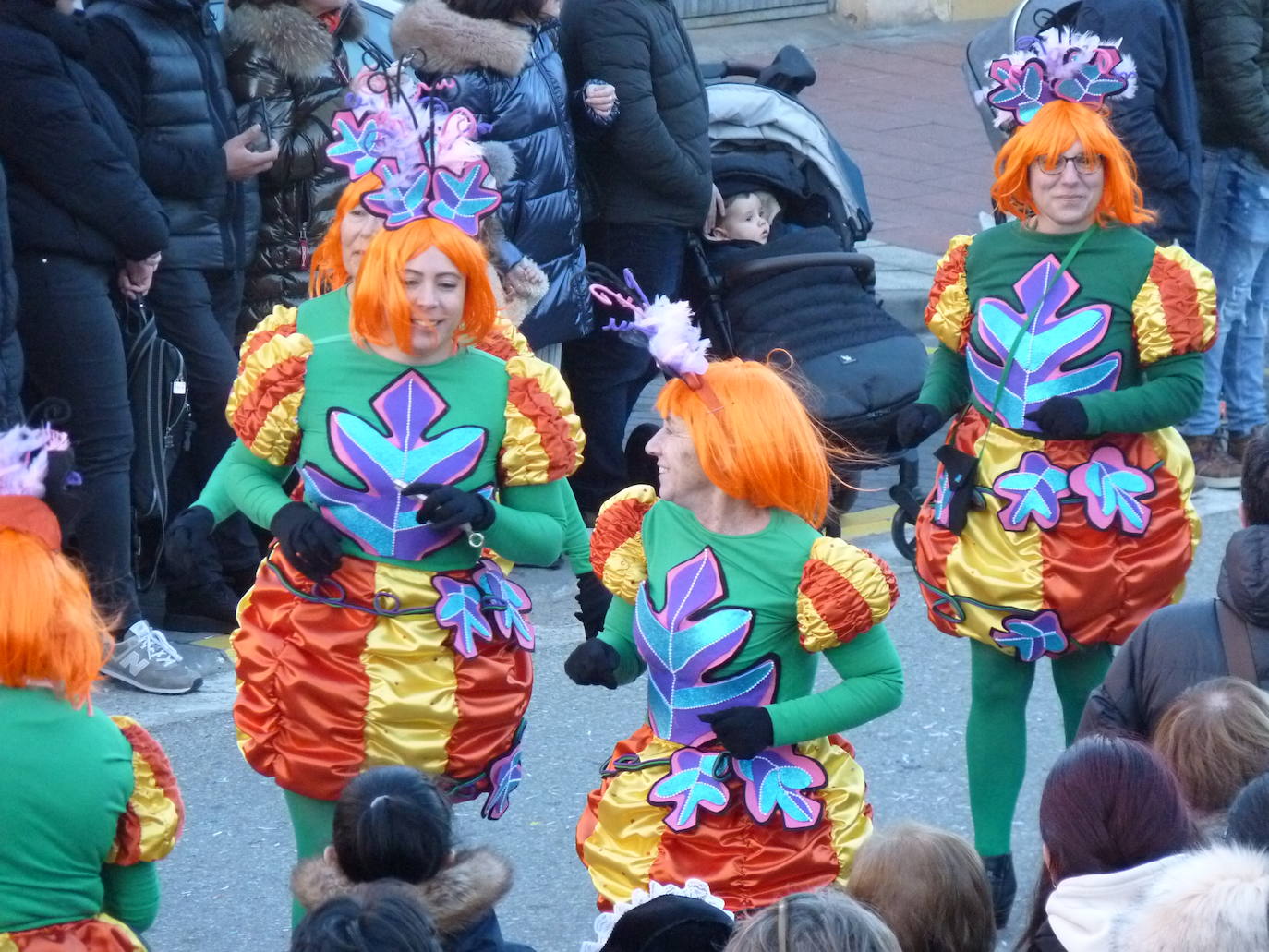 Las imágenes del carnaval de Tudela