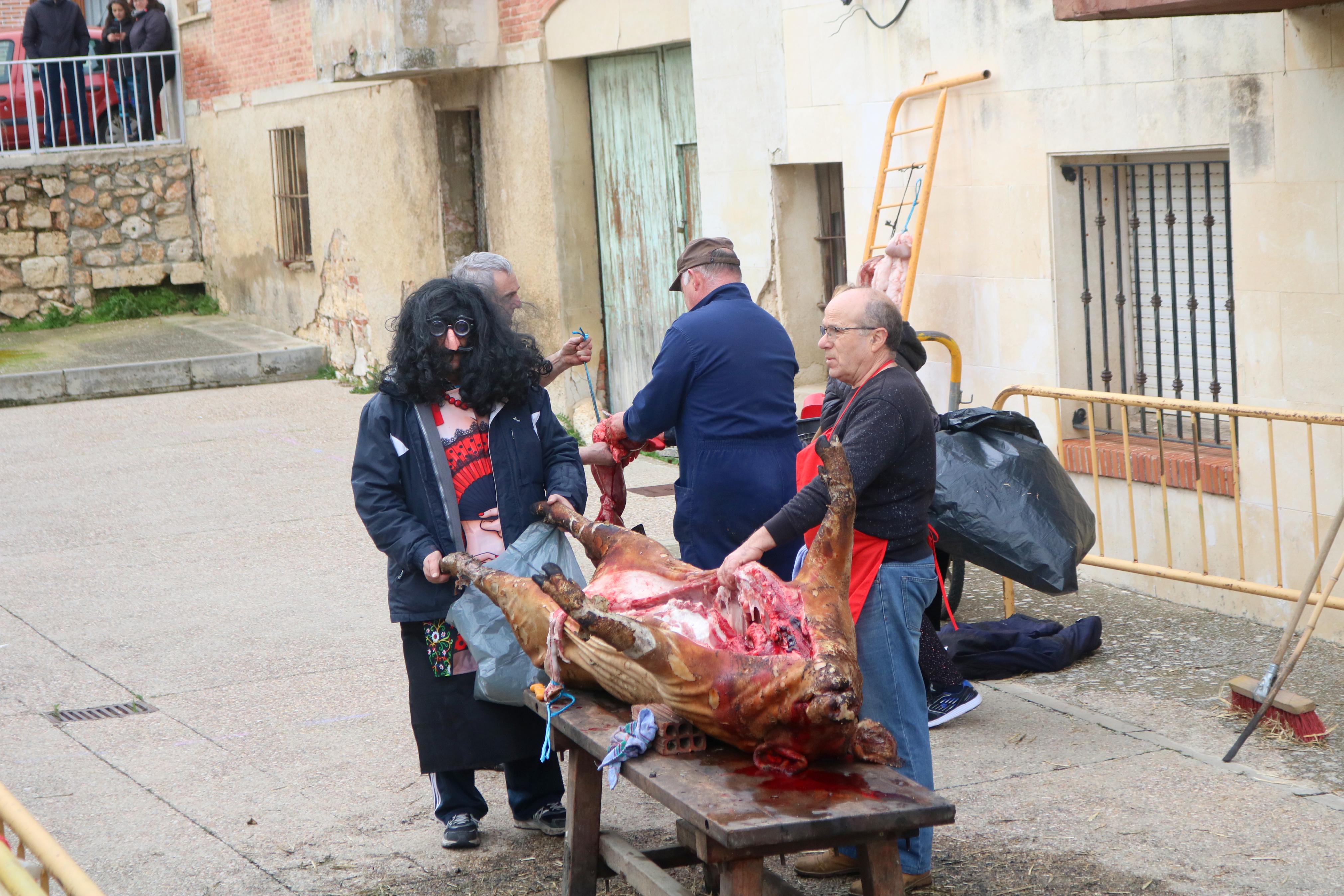 Villamuriel de Cerrato celebra su Fiesta de la Matanza