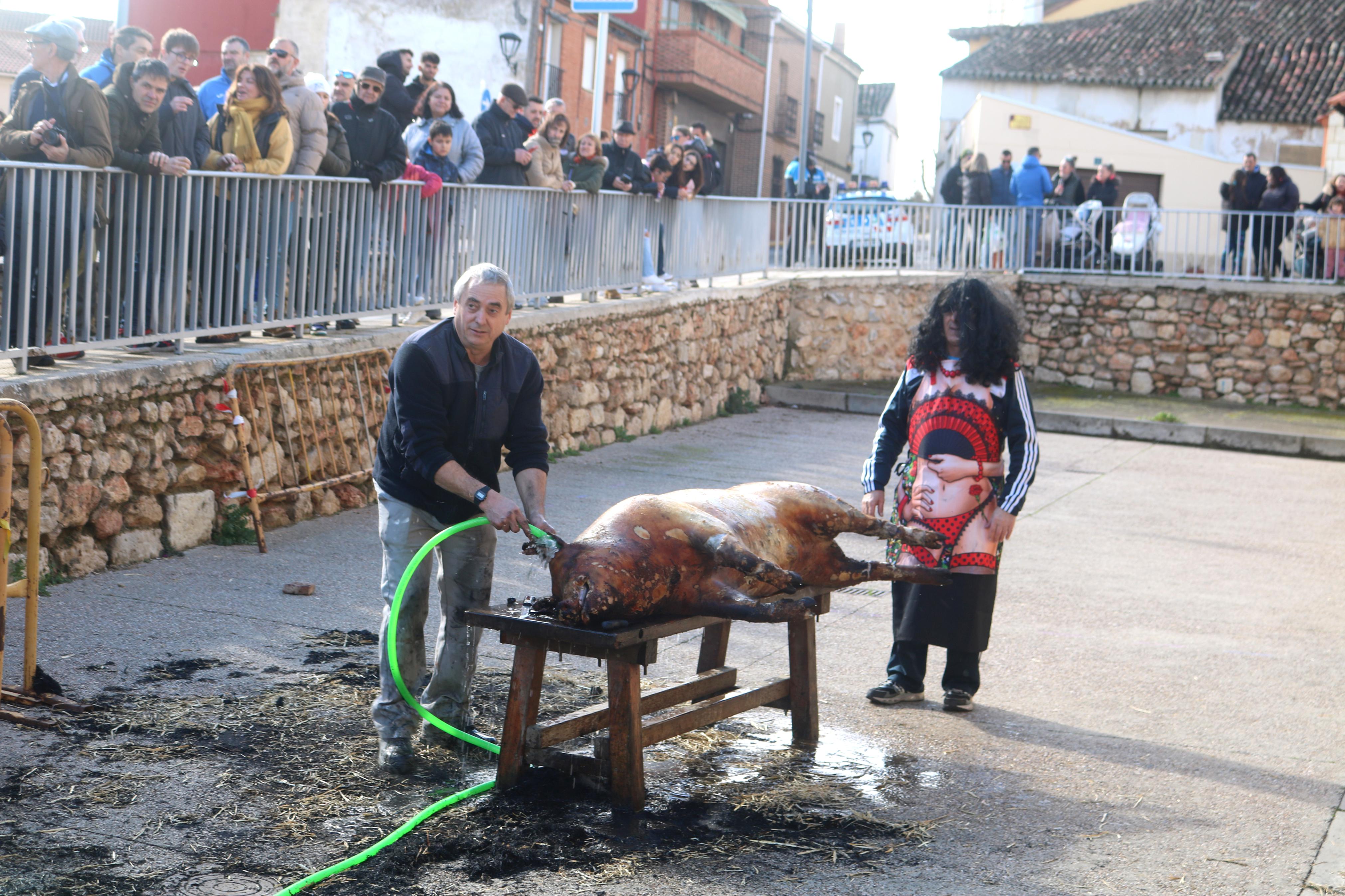 Villamuriel de Cerrato celebra su Fiesta de la Matanza