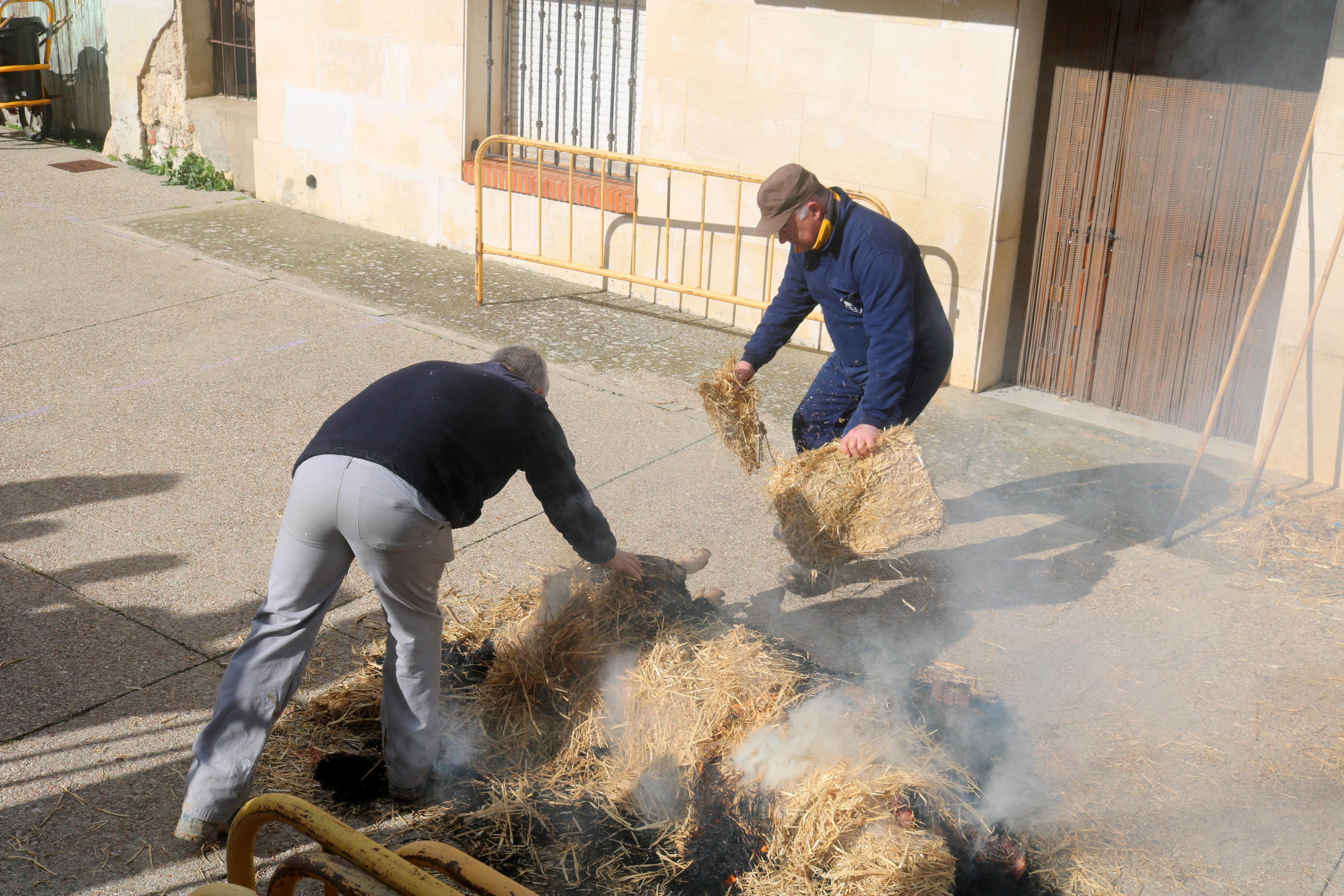 Villamuriel de Cerrato celebra su Fiesta de la Matanza