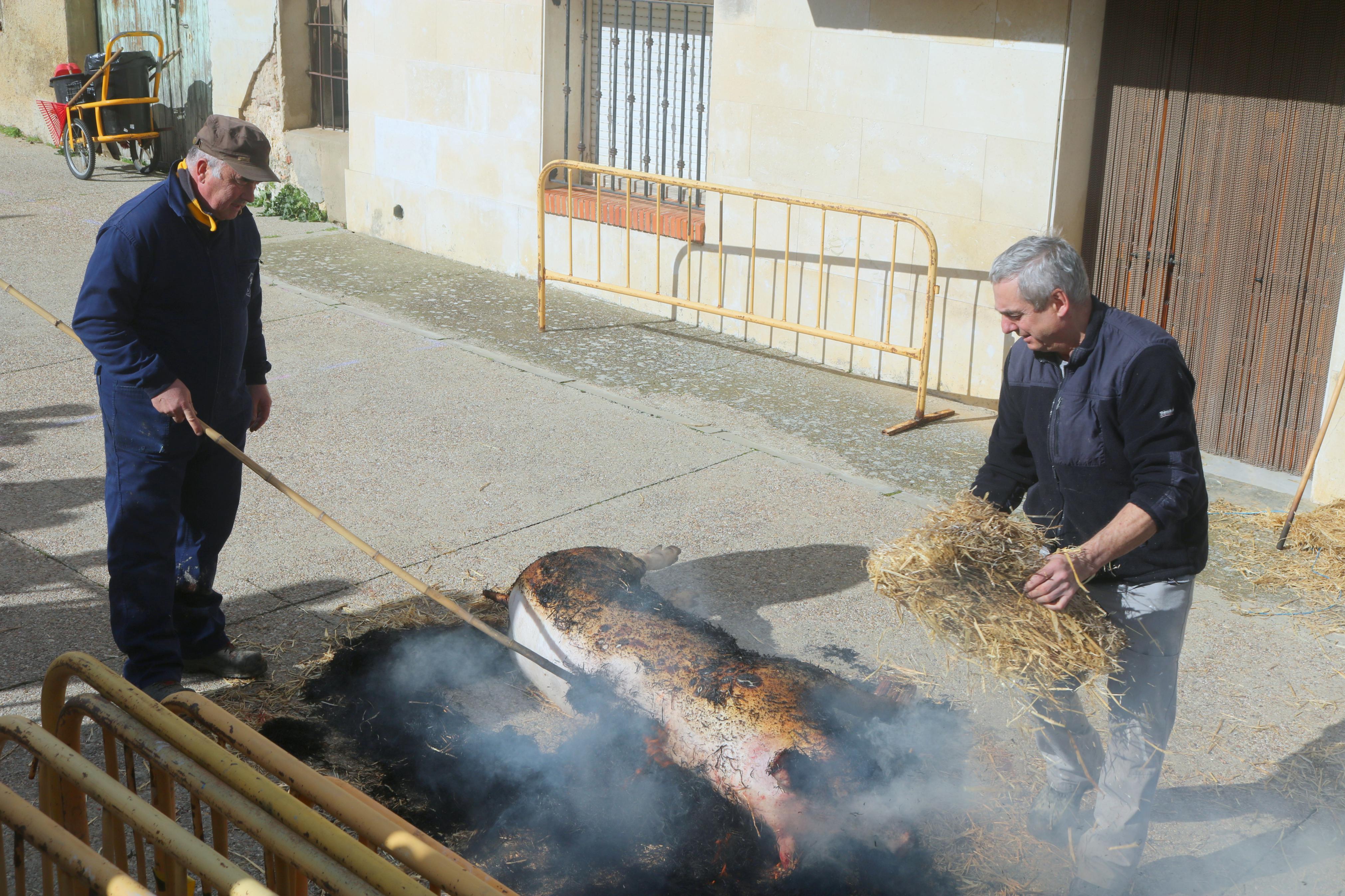 Villamuriel de Cerrato celebra su Fiesta de la Matanza
